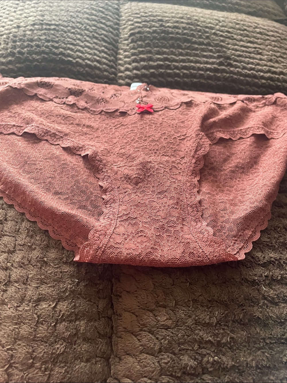 aerie Lace Bikini Briefs in Mauve Pink